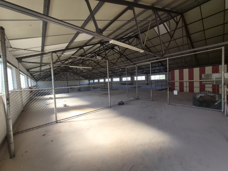 To Let Commercial Property for Rent in Maitland Western Cape